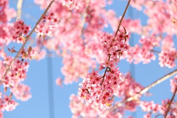 22C9F691-09FF-433B-90BD-9B8F49F39CCE
