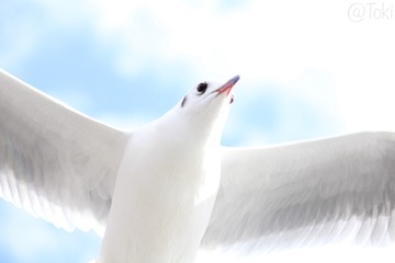 0C77F317-49EA-4863-B343-051F419A9480/L0/001