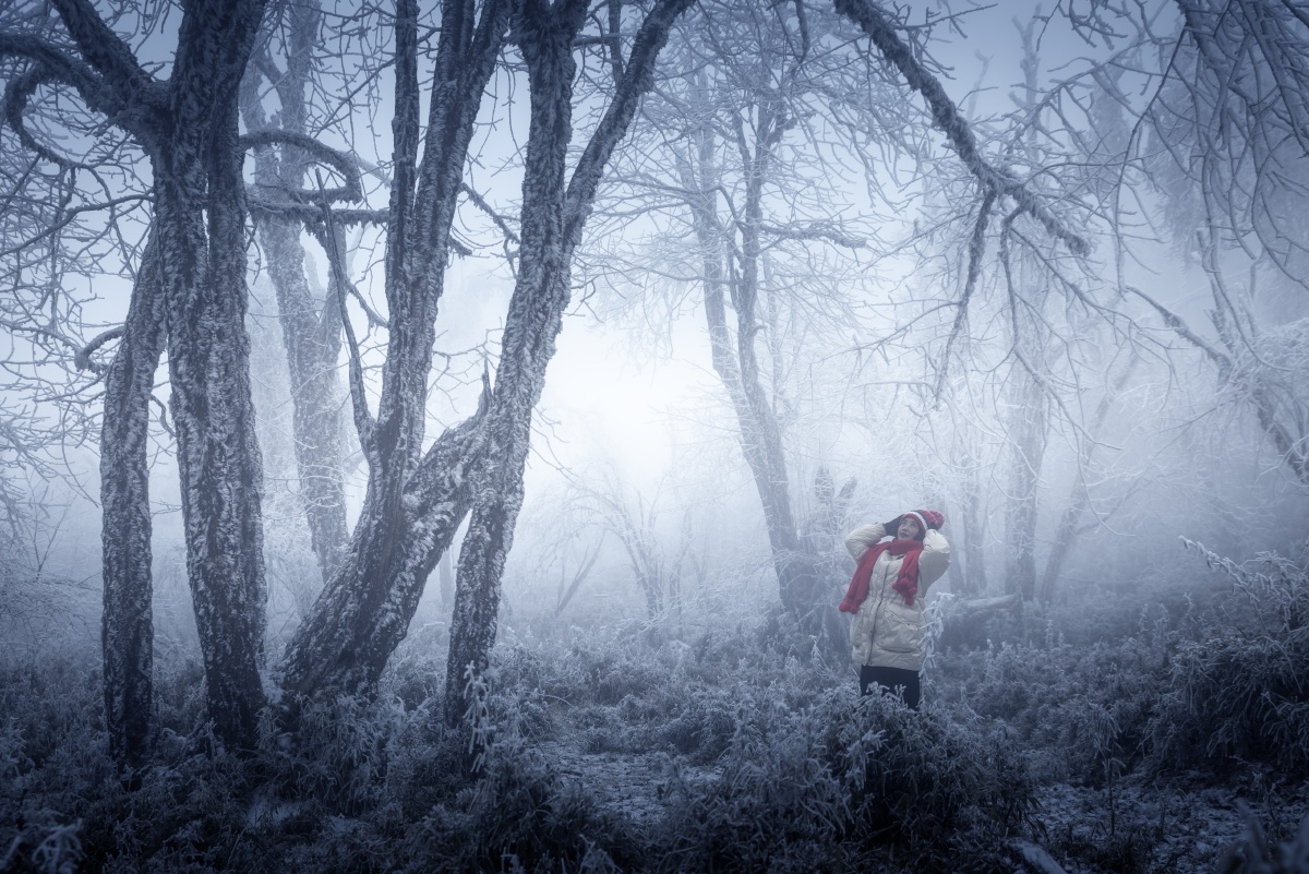 王岗坪幽暗森林