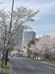 D280313B-7130-4D1C-965C-32BAB27E423D/L0/001