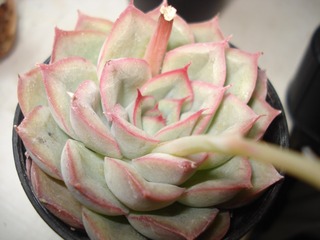 190853