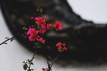 2EDAE393-9876-488C-BA24-A7C49BB7656E/L0/001