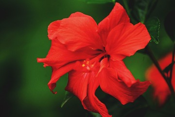 BE16DD50-1722-4AF1-8C11-1A270A037F45/L0/001