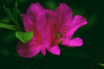 FD1767A9-D377-46BC-B144-C86FD0E4F5E1/L0/001
