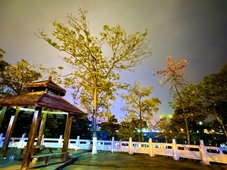 61A179A7-8D05-4CA7-920D-43916E75DB21/L0/001