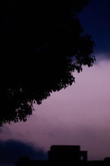 1000008922