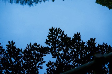 1000008826