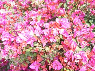 A5F2FCE1-2FB8-49D9-B4C1-850F5436C8F0/L0/001