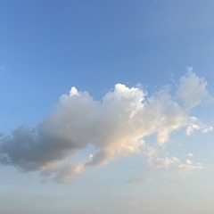 88754229-D16B-4609-A265-1C3C4BE64B9F/L0/001