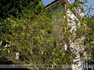 R0016042.jpg