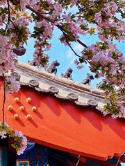 7060FF64-B669-4325-A7CC-137B6965AF35/L0/001