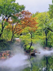 BA0CDE4B-3964-477E-B1B8-EEEA72002E97/L0/001