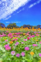 E558A1A0-319C-4A91-8B28-A8E5D1F6CFEF/L0/001