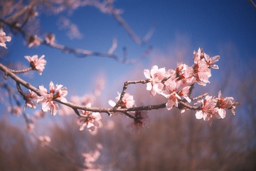 A92FC2F4-1E72-460B-A25E-48BE265A51F6/L0/001