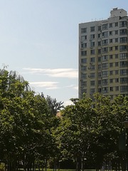 1855529