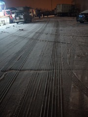 3636728