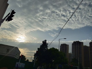 2664228