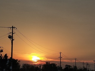 3077490