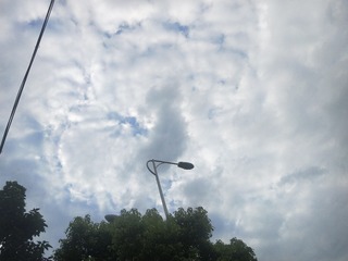 2646859