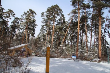 163315