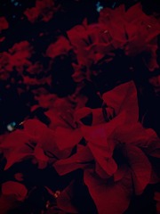 E71CC3E2-3F33-472B-8C19-5C401D9BFA24/L0/001