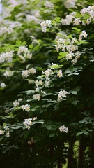 107CB135-010D-47F1-9C49-650430827806/L0/001