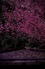 1736A469-49CB-4236-A51C-D3A6F7B41509/L0/001