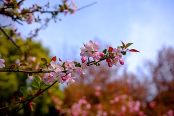 2EDECC86-A85F-4819-A269-D3EC839DD468/L0/001