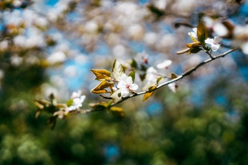 8B561EF9-68B9-4C59-9F43-6039D86F7092/L0/001