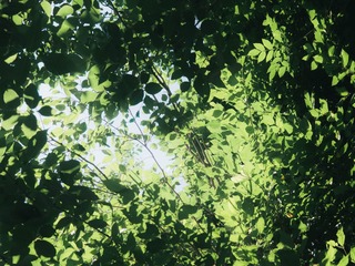 1000073807