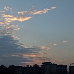 534516