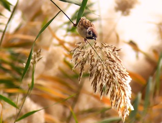 23EB7844-F6A1-42CF-87C6-DF51B07BCD19/L0/001