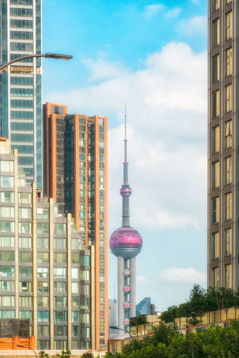 2021年10月23日摄于上海静安区