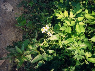 P1020559_副本.jpg