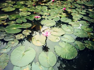 P1020804_副本.jpg