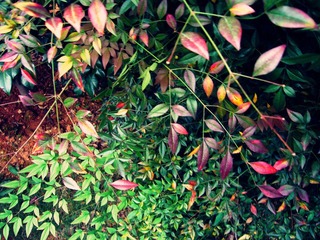 P1020862_副本.jpg