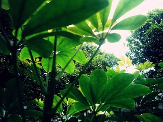 P1020908_副本.jpg
