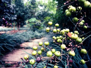 P1020921_副本.jpg