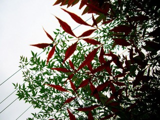 P1020934_副本.jpg