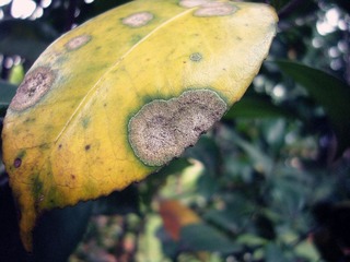 P1020977_副本.jpg