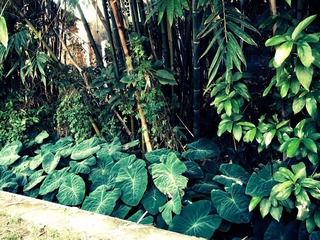 p1030301_副本.jpg