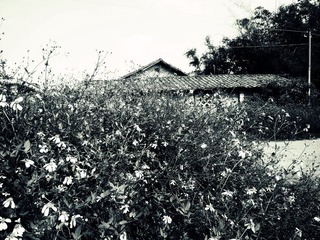 p1030553_副本.jpg