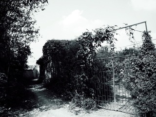 p1030567_副本.jpg