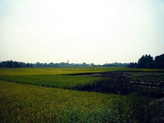 p1030337_副本.jpg
