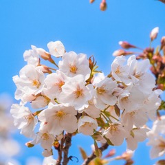 69F6B7F2-52AB-4D0A-87B8-CE244BE7650D/L0/001