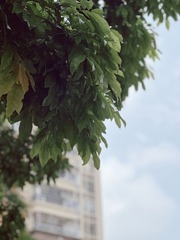 11C34B1D-3AF0-4A39-9F2E-A96A3D65FF9D/L0/001