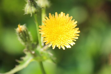 25625854-C299-4878-A720-CADF593515CF/L0/001