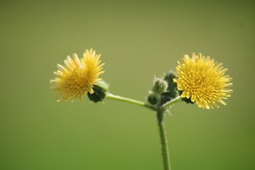 CD09D8E5-6EB4-47B1-B0F9-1C68238DC7BB/L0/001