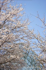 9C8B6BDB-FEC9-4963-BB0B-06AAA83549C6/L0/001