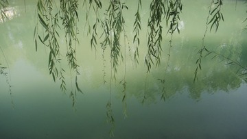 A8116252-DBEA-4593-BD6C-375705FA0F33/L0/001